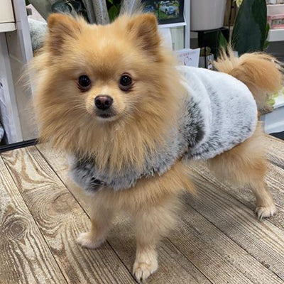 Faux Fur Dog Coats